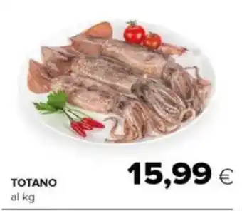 Tigre Totano offerta