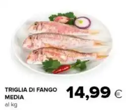 Tigre Triglia di fango media offerta