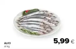 Tigre Alici offerta
