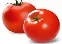 Conad Pomodoro rosso da riso offerta