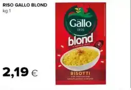 Tigre Riso gallo blond offerta