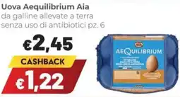 Coop Superstore Uova Aequilibrium Aia offerta