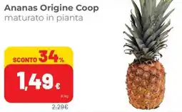 Coop Superstore Ananas Origine Coop offerta