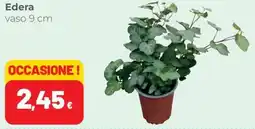 Edera