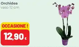 Coop Superstore Orchidea offerta