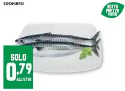 Pam Sgombro offerta