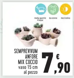 Conad SEMPREVIVUM ANFORE MIX COCCIO offerta
