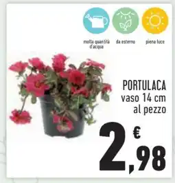 Conad PORTULACA offerta