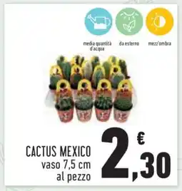 Conad CACTUS MEXICO offerta