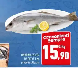 Conad OMBRINA ESTERA offerta