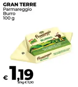 Coop Radenza GRAN TERRE Parmareggio Burro offerta