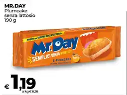 Coop Radenza MR.DAY Plumcake senza lattosio offerta