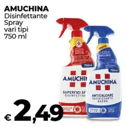 Coop Radenza AMUCHINA Disinfettante Spray vari tipi offerta