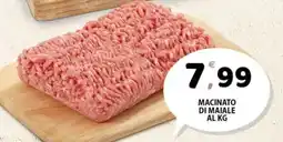 Premium Supermercati Macinato di maiale offerta
