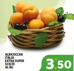 Premium Supermercati Albicocche italia extra super scelte offerta