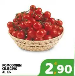 Premium Supermercati Pomodorini ciliegino offerta