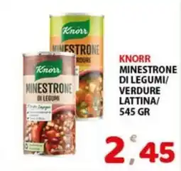 Premium Supermercati Knorr minestrone di legumi/ verdure lattina offerta