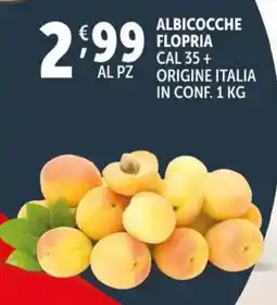 Deco Supermercati Albicocche flopria cal 35 + al pz origine italia in conf. offerta