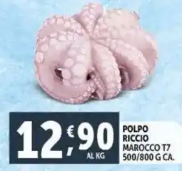 Deco Supermercati Polpo riccio marocco T7 offerta