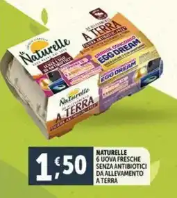 Deco Supermercati Naturelle 6 uova fresche senza antibiotici da allevamento a terra offerta