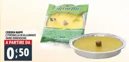 Deco Supermercati Citronella in alluminio varie dimensioni offerta