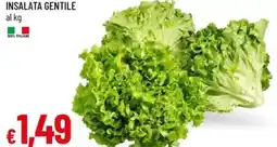 Galassia Insalata gentile offerta