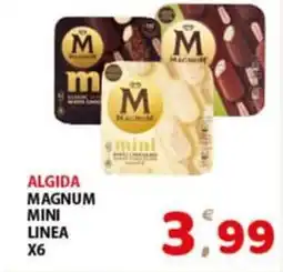 Premium Supermercati Algida magnum mini linea offerta
