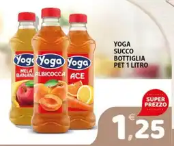 Premium Supermercati Yoga succo bottiglia pet offerta