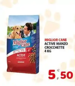 Premium Supermercati Miglior cane active manzo crocchette offerta