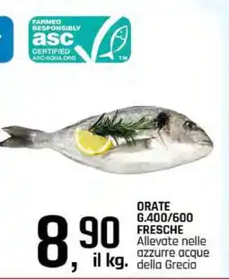 Famila ORATE G.400/600 FRESCHE offerta
