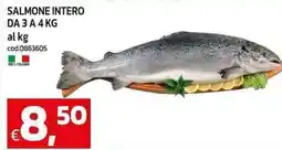 C+C Cash and Carry Salmone intero offerta