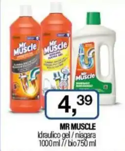 Caddy's MR MUSCLE Idraulico gel/niagara/bio offerta