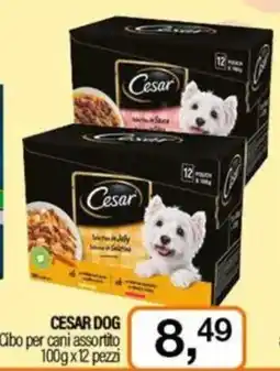Caddy's CESAR DOG Cibo per cani assortito offerta