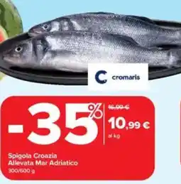 Carrefour Spigola Croazia Allevata Mar Adriatico offerta