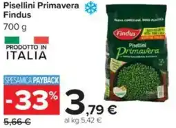 Carrefour Pisellini Primavera Findus offerta