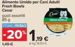 Carrefour Alimento Umido per Cani Adulti Fresh Bowls2 Cesar offerta