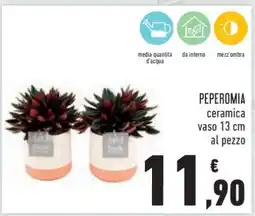 Conad Peperomia offerta