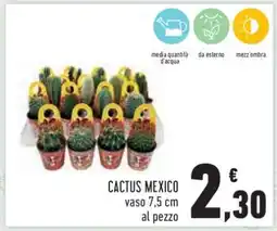 Conad CACTUS MEXICO offerta