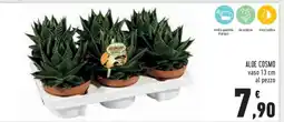 Conad ALOE COSMO offerta