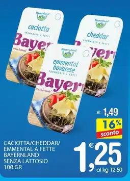 Qui Discount Caciotta/cheddar/ emmental a fette bayernland senza lattosio offerta