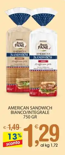 Qui Discount American sandwich bianco/integrale offerta