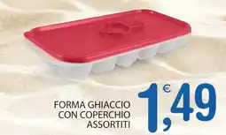 Qui Discount Forma ghiaccio con coperchio assortiti offerta