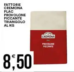 Vantaggio Cash&Carry Fattorie cremona plac provolone piccante triangolo offerta