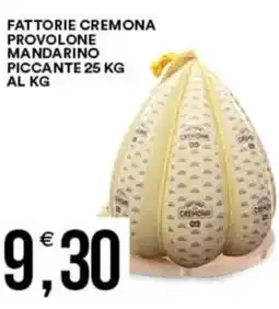 Vantaggio Cash&Carry Fattorie cremona provolone mandarino piccante offerta