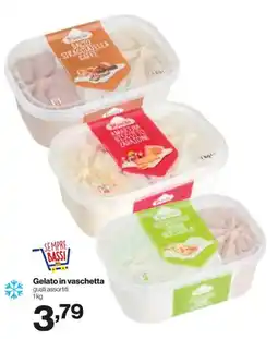 In'S Mercato Gelato in vaschetta offerta