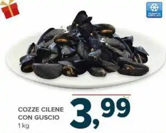 Cozze Cilene con Guscio 1kg