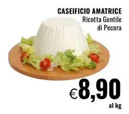 Famila CASEIFICIO AMATRICE Ricotta Gentile di Pecora offerta