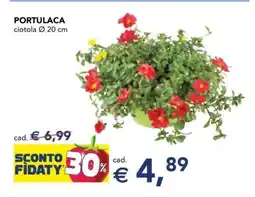 Esselunga PORTULACA offerta