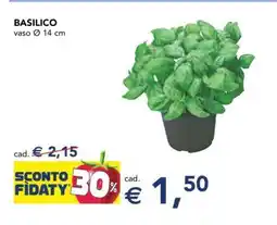 Esselunga Basilico offerta