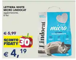 Esselunga LETTIERA WHITE MICRO LINDOCAT offerta